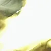 asssssajin