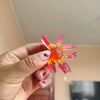 flor1jw