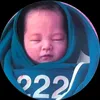 222bebe456