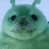 happy_nik0