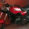 bidin135cc
