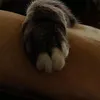 useriwh5ik9l0b
