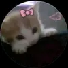 loveyou.xuankhiem