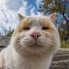 meomuncute0