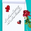 burhanmehar5628