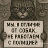 user7077078616068