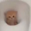 kawaii_0000