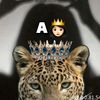 amiisha.khadar