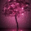 oum.rayan0333