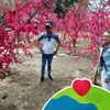 trong_1122.com