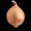 onion.12345.1