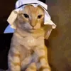 licitisg