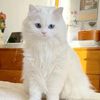 .my.name.may