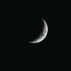 user9983461071990