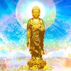 Tuỳ Duyên Niệm Phật Hộ Niệm