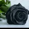 jamil.rasull