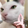 usersgfuozed56