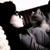 love_you20072