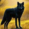 el.bohkary.yt