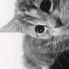 amy_zxz._0