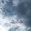 user0vte4jpqvf