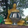 dhadkan.rijal