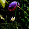 pink_black360