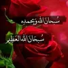saidgulli22