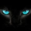 user0bjd8o86lm