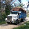 user70912918802456