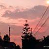 luokshy_28tsu