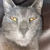 valonelubre