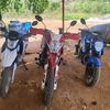 benitocamelo019