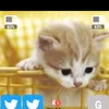 userdysay5arqh