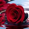 abdouabdou43343