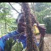 beesuganda