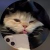 haroonkhan_367