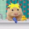 apple_backup