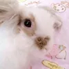 мотя /ᐠ •̤ ༝ •̤ﾏ ♡