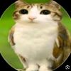 qqq_019