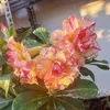 userbyar9iku7a
