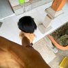 sentana_25