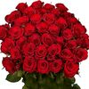 shovashrestha9005