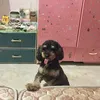 dinhmychi31213