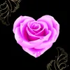 user5063502168111