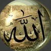 yak_outa2