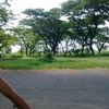 masgendu3
