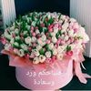 shirin.ahmed94