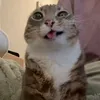 ram_is_unstable
