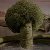 ykndl1
